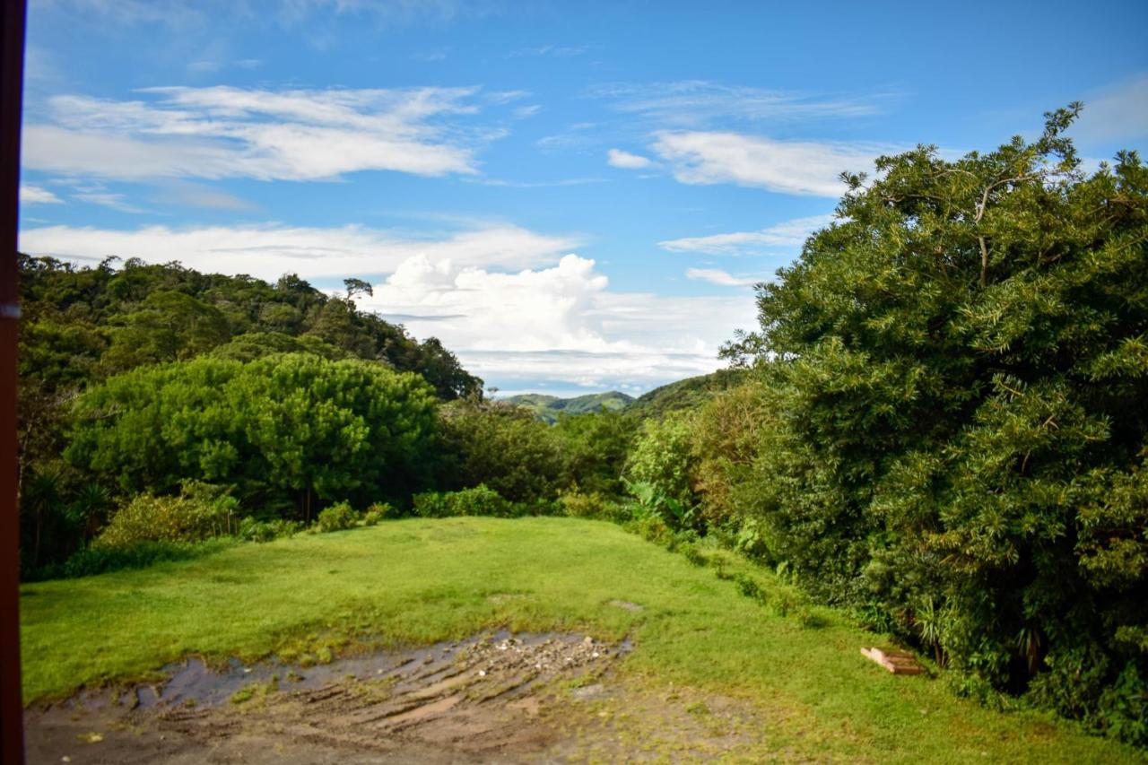 Cabinas Selva Verde Monteverde ภายนอก รูปภาพ