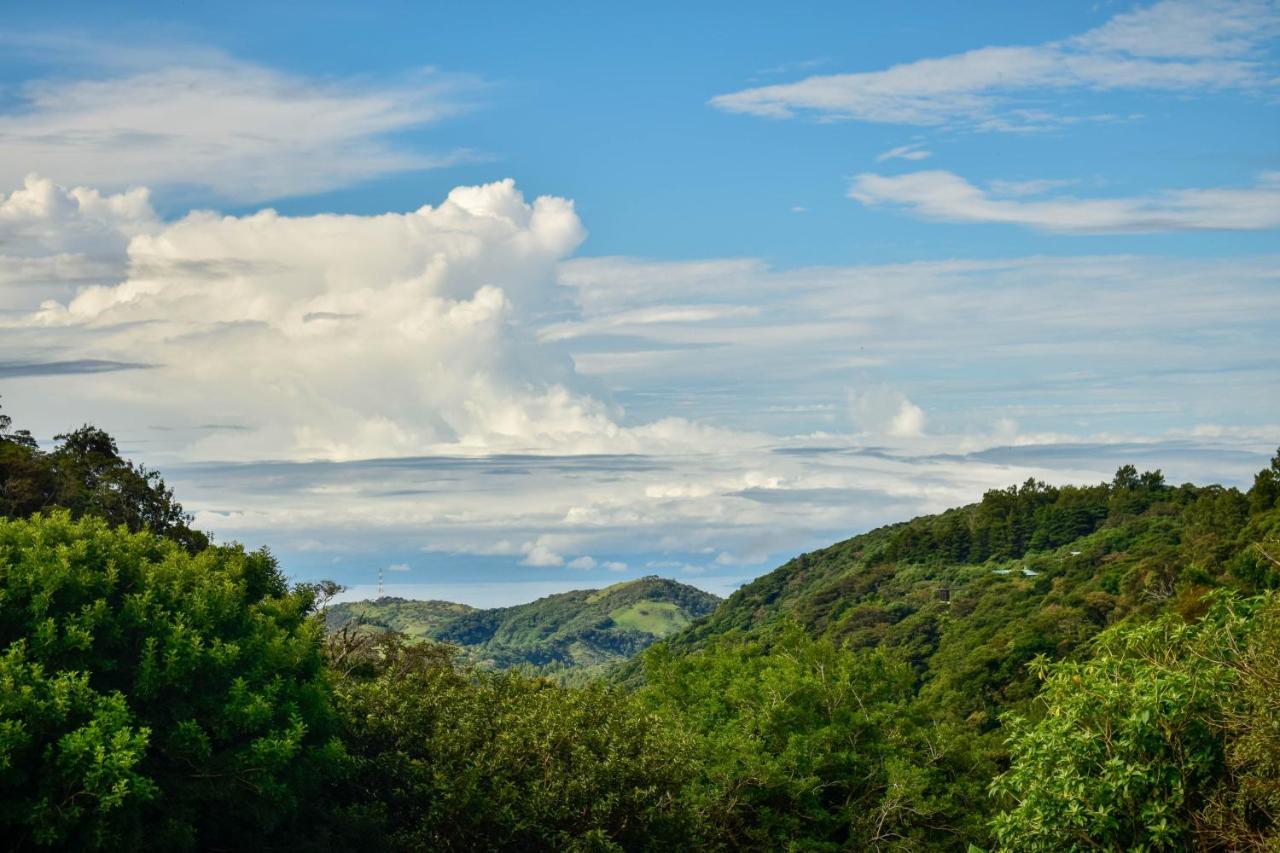Cabinas Selva Verde Monteverde ภายนอก รูปภาพ